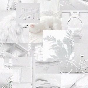 Meet your Posher, neviia!